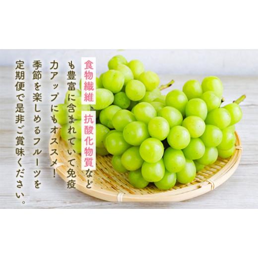 ふるさと納税 ぶどう マスカット 福岡県 朝倉市 定期便 5ヶ月 果物 先行予約 シャインマスカット 梨 柿 果物 配送不可：離島_6