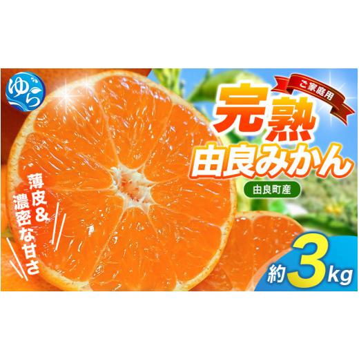 ふるさと納税 果物類 みかん 和歌山県 由良町 薄皮で濃い甘さ 完熟由良みかん ご家庭用 3kg(混サイズ)和歌山県由良産 2026年11月下旬頃から12月下旬頃に順次…