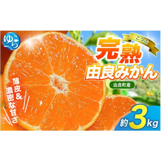 ふるさと納税 果物類 みかん 和歌山県 由良町 みかん 小玉 3kg / 薄皮で濃い甘さ 完熟由良みかん こつぶ 和歌山県由良産 2026年11月下旬頃から12月下旬頃に順…