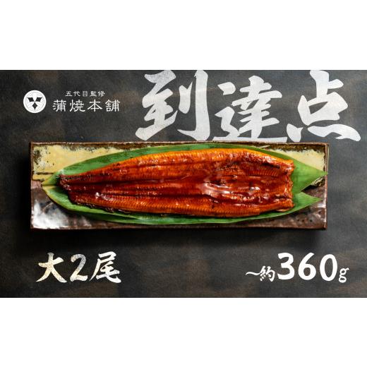 ふるさと納税 うなぎ 愛知県 豊橋市 7月25日指定 大サイズ 国産うなぎ 蒲焼 2尾 詰め合わせ 蒲焼 ウナギ うなぎ 鰻 ウナギ unagi 土用 丑の日 国産 国産うな…