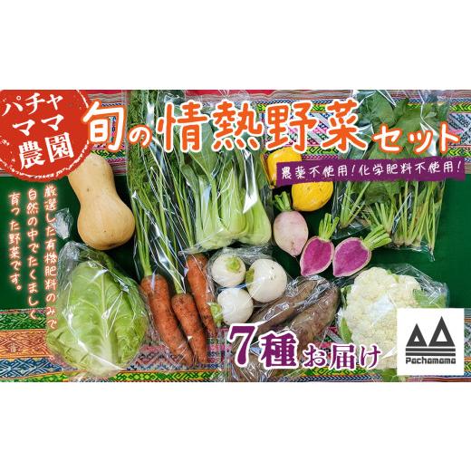 ふるさと納税 セット・詰合せ 茨城県 下妻市 農園自慢の情熱野菜セット ( 7品 ) 野菜 詰め合わせ お任せ 季節物 セット 山芋 パセリ わさび菜 ポップコーン …
