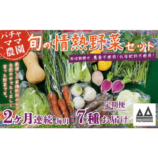 ふるさと納税 セット・詰合せ 茨城県 下妻市 2ヶ月連続お届け 農園自慢の情熱野菜セット ( 7品 ) 野菜 詰め合わせ お任せ 季節物 定期便 セット 山芋 パセ…
