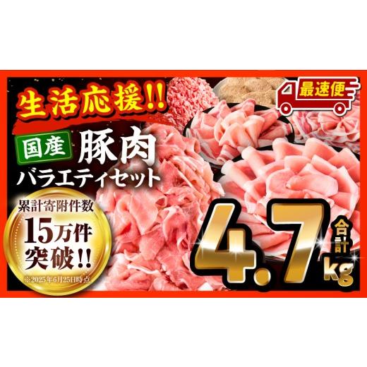 ふるさと納税 肉 宮崎県 宮崎市 最速便 大満足豚肉ロースバラエティセット4.7kg(真空パック)_M132-094-PU-UP-2W 最速便