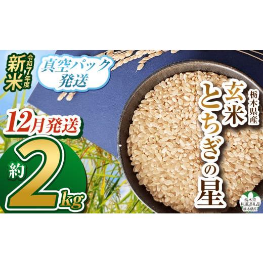 ふるさと納税 米 栃木県 下野市 栃木県共通返礼品 12月発送 令和7年度新米 栃木県産とちぎの星 2kg | 玄米 精米 お米 コメ とちぎの星 先行予約 ブランド米 …