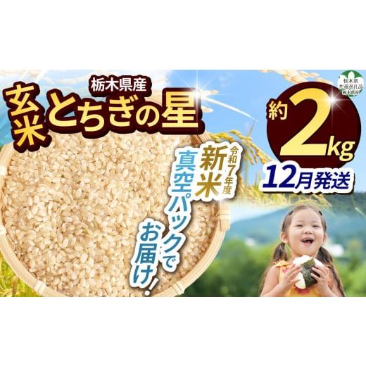 ふるさと納税 玄米 栃木県 那珂川町 訳あり 令和7年度新米 栃木県共通返礼品 栃木県産とちぎの星 2kg(玄米真空パック)12月分 | 新米 とちぎの星 玄米 米 ご…