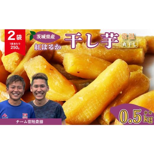 ふるさと納税 干し芋 茨城県 常陸太田市 先行予約 干し芋 丸干し 2袋 500g(250g/袋) 常温 | 国産 芋 紅はるか べにはるか 干しいも さつまいも スイーツ お…