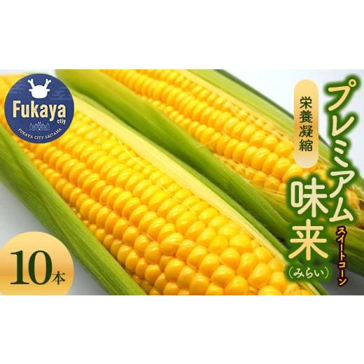 ふるさと納税 とうもろこし 埼玉県 深谷市 先行予約 6・7月出荷 農家直送 とうもろこし プレミアム味来 10本箱詰め