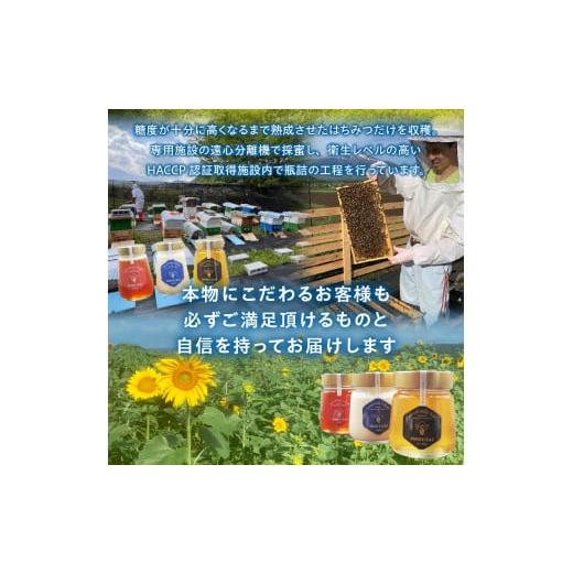 ふるさと納税 加工品等 はちみつ 山梨県 忍野村 忍野村産　いであプレミアム・ハニー HOKUSAI 富士黄金 270g_8