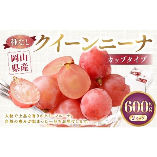 ふるさと納税 ぶどう 岡山県 美咲町 [種なし] 岡山県産 クイーンニーナ 手軽なカップタイプ 約300g × 2カップ 計約600g 2026年8月下旬-9月下旬発送予定 / …