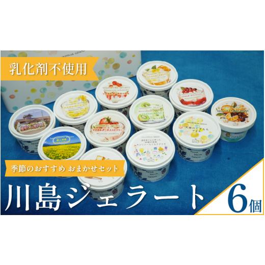 ふるさと納税 アイス・ヨーグルト ジェラート 徳島県 吉野川市 ジェラート 詰め合わせ おまかせ 6個 セット 120ml 川島ジェラート アイスクリーム アイス シャ…