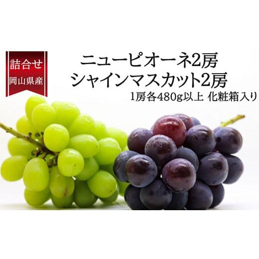 ふるさと納税 果物の詰合せ 岡山県 美咲町 詰合 / ニューピオーネ 2房 ・ シャインマスカット 晴王 2房 (1房各480g以上) 化粧箱入り 2026年9月上旬〜10月上…