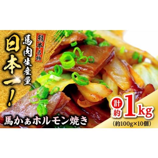ふるさと納税 馬肉 熊本県 合志市 馬かぁホルモン焼 約100g×10個 計約1kg ホルモン セット 株式会社 千興ファーム 馬肉 ホルモン ホルモン焼き セット 馬 肉 …
