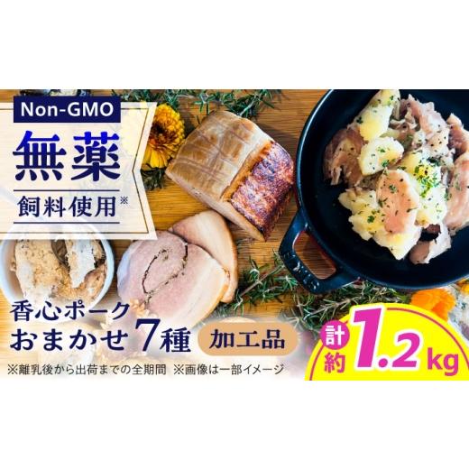 ふるさと納税 豚肉 セット 熊本県 合志市 『香心ポーク』 加工品 詰め合わせ おまかせ 7品 セット 約1.2kg A5B2 豚肉 冷凍 熊本県産 有限会社 コーシン 豚肉 …