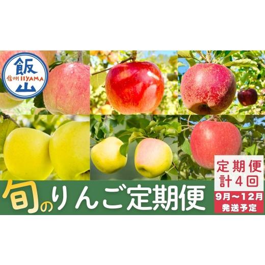 ふるさと納税 りんご 長野県 飯山市 先行予約│2026年発送 定期便 全4回 旬のりんご定期便 (At-029)長野県 飯山市 おすすめ ランキング おいしい 高評価 大…