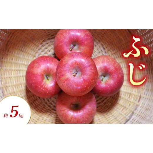 ふるさと納税 りんご 長野県 山ノ内町 ふじ 約5kg りんご リンゴ 林檎 果物 フルーツ 長野県 長野 山ノ内町