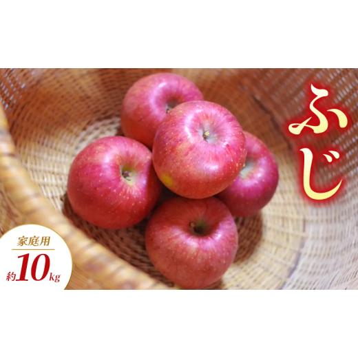 ふるさと納税 りんご 長野県 山ノ内町 2026年発送 ふじ 家庭用 約10kg りんご リンゴ 林檎 果物 フルーツ 長野県 長野 山ノ内町