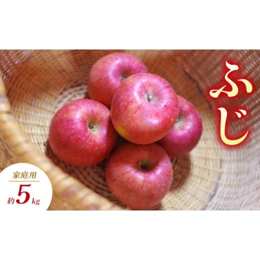 ふるさと納税 りんご 長野県 山ノ内町 ふじ 家庭用 約5kg りんご リンゴ 林檎 果物 フルーツ 長野県 長野 山ノ内町