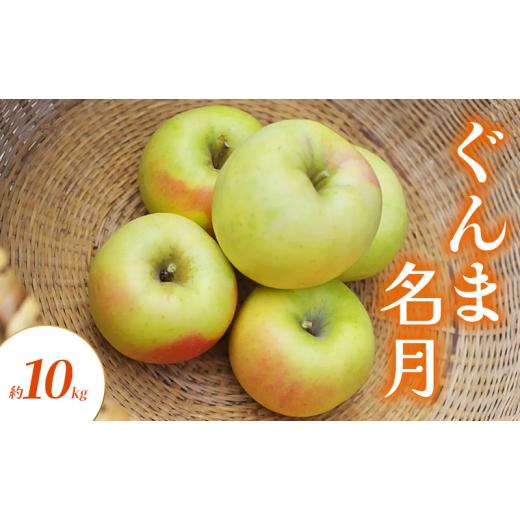 ふるさと納税 りんご 長野県 山ノ内町 りんご ぐんま名月 約 10kg フルーツ 果物 黄色 秋 旬の果物 旬のフルーツ 長野県産
