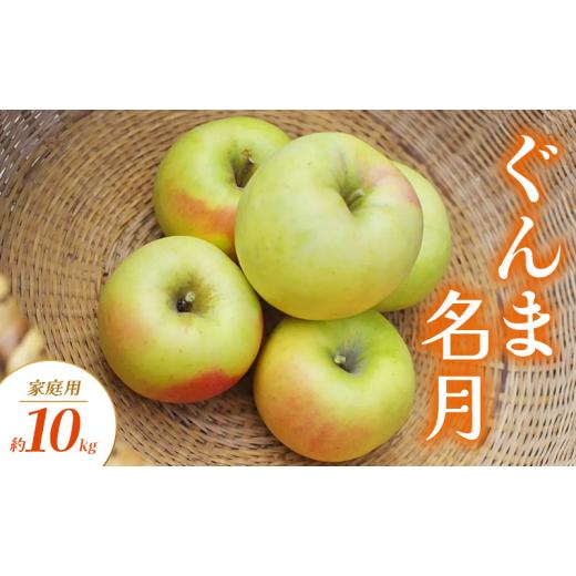 ふるさと納税 りんご 長野県 山ノ内町 ぐんま名月 家庭用 約10kg りんご リンゴ 林檎 果物 フルーツ 長野県 長野 山ノ内町