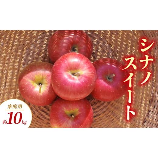 ふるさと納税 りんご 長野県 山ノ内町 2026年発送 シナノスイート 家庭用 約10kg りんご リンゴ 林檎 果物 フルーツ 長野県 長野 山ノ内町
