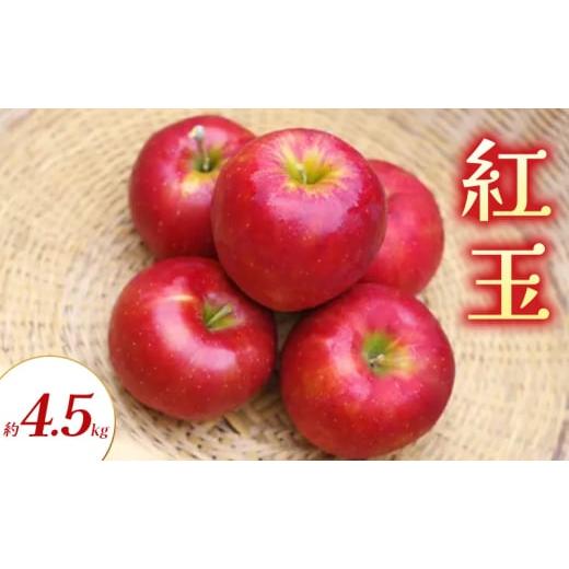 ふるさと納税 りんご 長野県 山ノ内町 紅玉 約4.5kg りんご リンゴ 林檎 果物 フルーツ 長野県 長野 山ノ内町