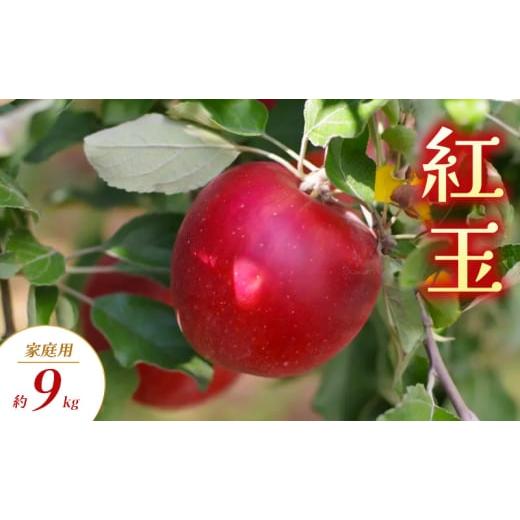 ふるさと納税 りんご 長野県 山ノ内町 紅玉 家庭用 約9kg りんご リンゴ 林檎 果物 フルーツ 長野県 長野 山ノ内町