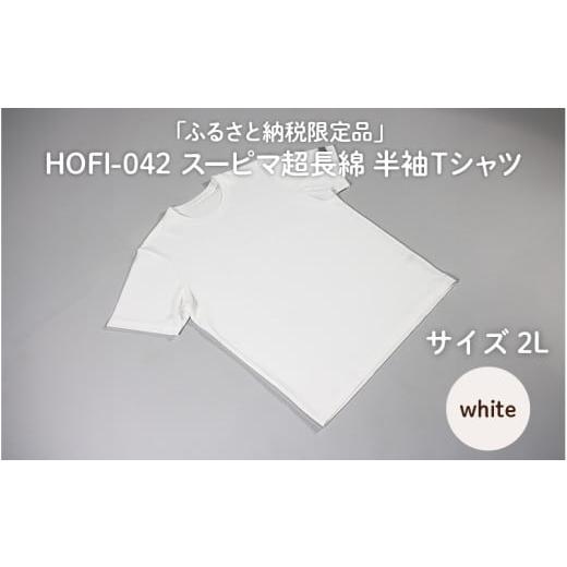 ふるさと納税 服 男 大阪府 東大阪市 東大阪繊維研究所 ふるさと納税限定品 HOFI-042スーピマ超長綿 半袖Tシャツ(白:2L) (白:2L)