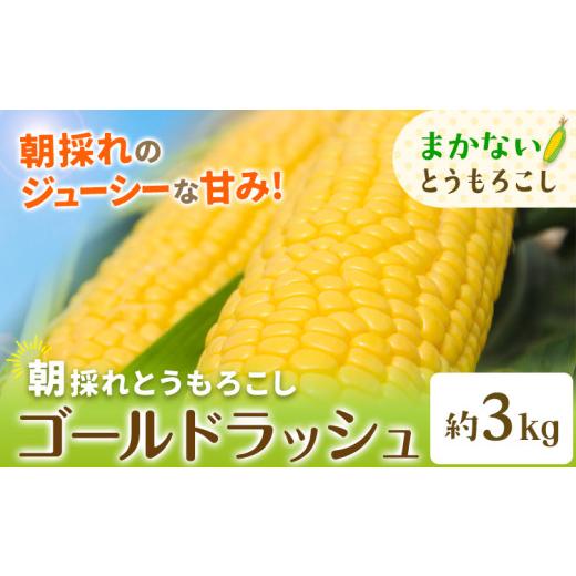 ふるさと納税 とうもろこし 栃木県 野木町 先行予約 とうもろこし 農家のまかない 約3kg 野木町産 老沼 利治[2026年6月中旬-7月中旬頃出荷]栃木県 野木町 …