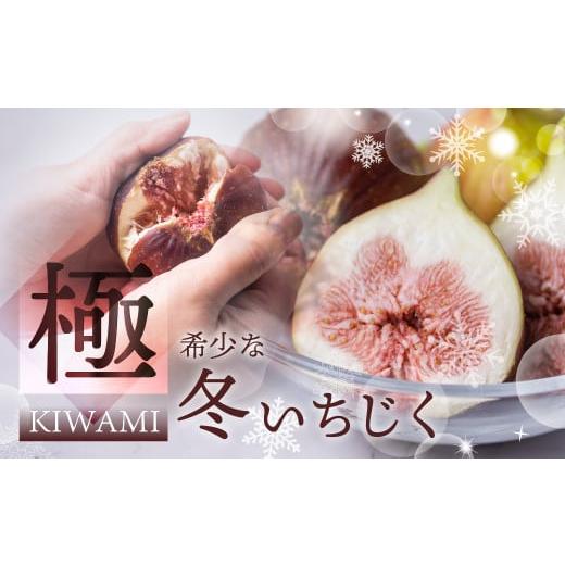 ふるさと納税 いちじく 愛知県 田原市 先行予約 11月、12月お届け 冬いちじく 秋の希少な いちじく 極 9-12玉 完熟 大玉 2026年発送 11月お届け 12月お届け …