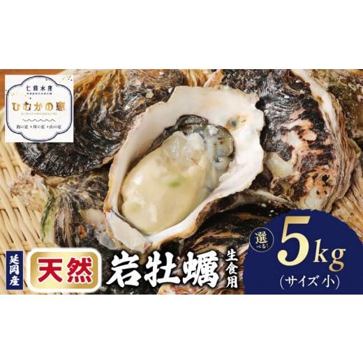 ふるさと納税 牡蠣 生牡蠣 宮崎県 延岡市 延岡産天然岩牡蠣(生食用)5kg(小)(2026年4月15日から発送開始) N036-YB305 N036-YB305 延岡産天然岩牡蠣(生…