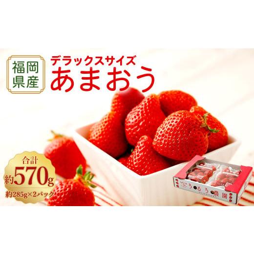 ふるさと納税 いちご 福岡県 太宰府市 アフター保証 うるう農園 あまおう DX等級 2パック (約570g) 2026年2月上旬〜2026年4月上旬発送予定 いちご イチゴ …