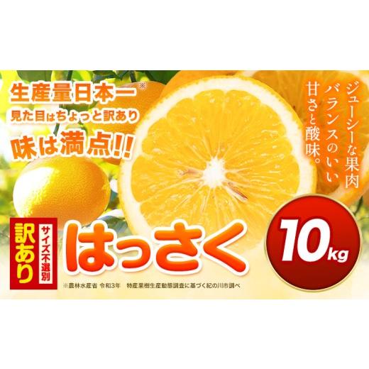 ふるさと納税 みかん・柑橘類 和歌山県 紀の川市 訳あり/ご家庭用 紀の川市産 はっさく 約10kg (4L~Sサイズ サイズ不選別) 早生・晩生指定不可[2月上旬-3月…