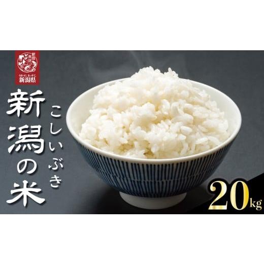 ふるさと納税 米 新潟県 新発田市 先行予約 令和7年産 こし