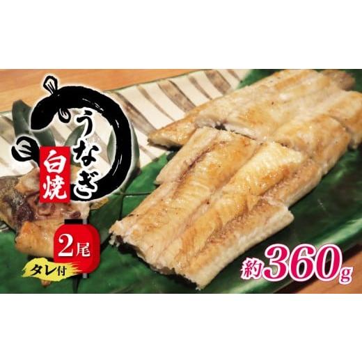 ふるさと納税 うなぎ 滋賀県 竜王町 国産 うなぎ 白焼き 180g × 2尾 約360g タレ付 ( グルメ うなぎ 鰻 新鮮 たれ 土曜 丑の日 真空パック おすすめ 滋賀県 …