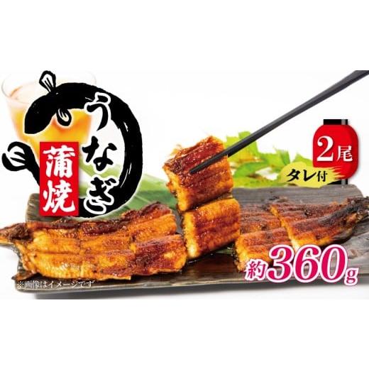 ふるさと納税 うなぎ 滋賀県 竜王町 国産 うなぎ 蒲焼 180g×2尾 約360g タレ付 ( グルメ うなぎ 冷凍 鰻 新鮮 たれ 土曜 丑の日 真空パック おすすめ 滋賀県 …