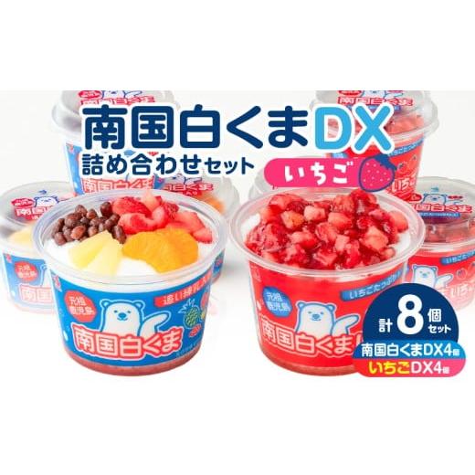 ふるさと納税 菓子 アイス 鹿児島県 鹿児島市 数量限定 セイカ食品 南国白くまDX・南国白くまDX(いちご味)詰め合わせセット K051-002_01 白くま&いちご味…