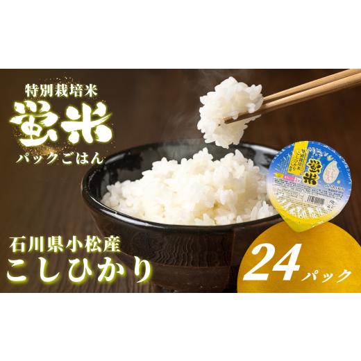 ふるさと納税 米 コシヒカリ 石川県 小松市 『蛍米』 パックごはん180g×24個入り 特別栽培米こしひかり パックご飯 パックライス コシヒカリ 24食 石川県 小…