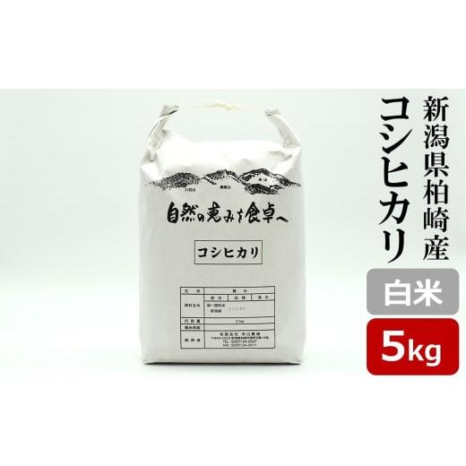 ふるさと納税 米 コシヒカリ 新潟県 柏崎市 令和7年産新米 コシヒカリ 白米 5kg 新潟米