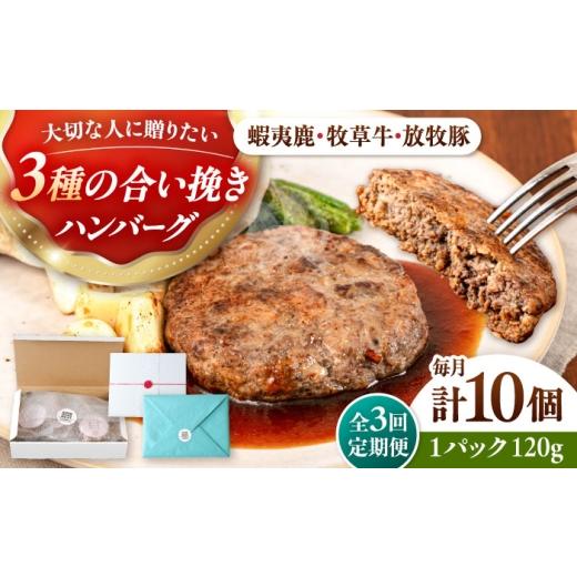 ふるさと納税 肉 ハンバーグ 北海道 厚真町  全3回定期便 蝦夷鹿×馬糧牛×放牧豚 ハンバーグ 10個《厚真町》 GOODGOOD株式会社 ハンバーグ 差し上げ物 鹿肉 牛 …