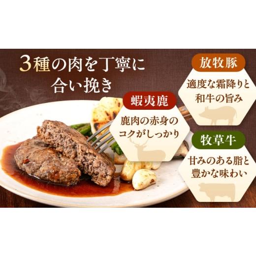 ふるさと納税 肉 ハンバーグ 北海道 厚真町  全3回定期便 蝦夷鹿×馬糧牛×放牧豚 ハンバーグ 10個《厚真町》 GOODGOOD株式会社 ハンバーグ 差し上げ物 鹿肉 牛 …