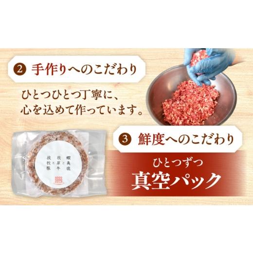 ふるさと納税 肉 ハンバーグ 北海道 厚真町  全3回定期便 蝦夷鹿×馬糧牛×放牧豚 ハンバーグ 10個《厚真町》 GOODGOOD株式会社 ハンバーグ 差し上げ物 鹿肉 牛 …