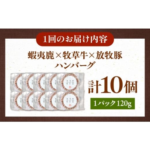 ふるさと納税 肉 ハンバーグ 北海道 厚真町  全3回定期便 蝦夷鹿×馬糧牛×放牧豚 ハンバーグ 10個《厚真町》 GOODGOOD株式会社 ハンバーグ 差し上げ物 鹿肉 牛 …