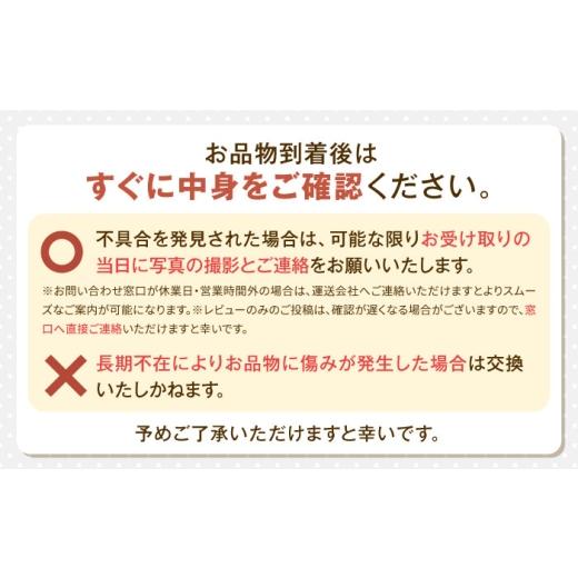 ふるさと納税 肉 ハンバーグ 北海道 厚真町  全3回定期便 蝦夷鹿×馬糧牛×放牧豚 ハンバーグ 10個《厚真町》 GOODGOOD株式会社 ハンバーグ 差し上げ物 鹿肉 牛 …