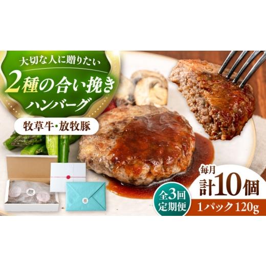 ふるさと納税 肉 ハンバーグ 北海道 厚真町  全3回定期便 馬糧牛×放牧豚 ハンバーグ 10個《厚真町》 GOODGOOD株式会社 ハンバーグ 差し上げ物 牛 豚 野生肉 …