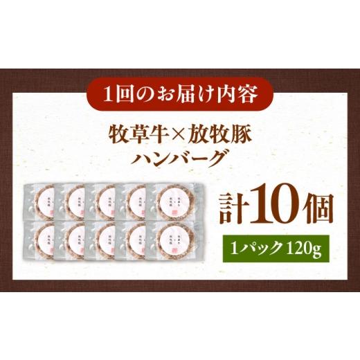 ふるさと納税 肉 ハンバーグ 北海道 厚真町  全3回定期便 馬糧牛×放牧豚 ハンバーグ 10個《厚真町》 GOODGOOD株式会社 ハンバーグ 差し上げ物 牛 豚 野生肉 …