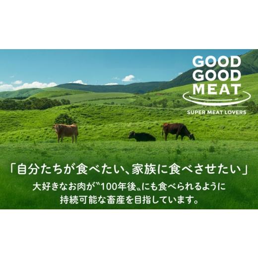 ふるさと納税 肉 ハンバーグ 北海道 厚真町  全3回定期便 馬糧牛×放牧豚 ハンバーグ 10個《厚真町》 GOODGOOD株式会社 ハンバーグ 差し上げ物 牛 豚 野生肉 …