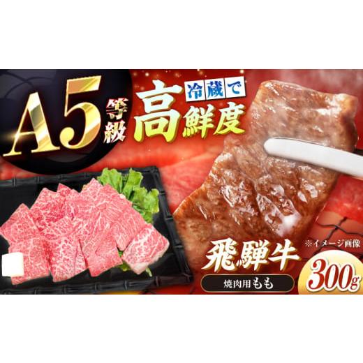 ふるさと納税 牛肉 モモ 岐阜県 恵那市 チルド(冷蔵)発送 牛肉 「飛騨牛」 A5等級 もも 300g / 恵那市 / 東美濃農業協同組合 AUFX004 300g