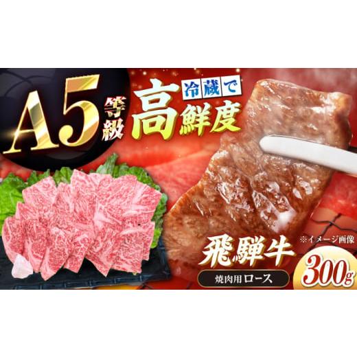 ふるさと納税 牛肉 ロース 岐阜県 恵那市 チルド(冷蔵)発送 牛肉 「飛騨牛」 A5等級 ロース 300g / 恵那市 / 東美濃農業協同組合 AUFX007 300g