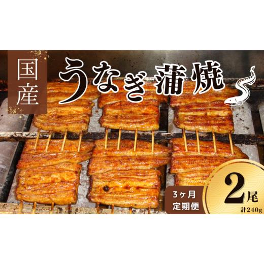 ふるさと納税 うなぎ 千葉県 我孫子市 毎月定期便3回 鰻 国産 鰻蒲焼 約120g×2パック たれ 山椒付