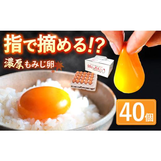 ふるさと納税 卵(鶏、烏骨鶏等) 長崎県 川棚町 卵 平飼い もみじの高級 たまご 40個 12月発送なし tamago 野中鶏卵 OAC013 / 新鮮 ニワトリ 鶏 卵 たまご …